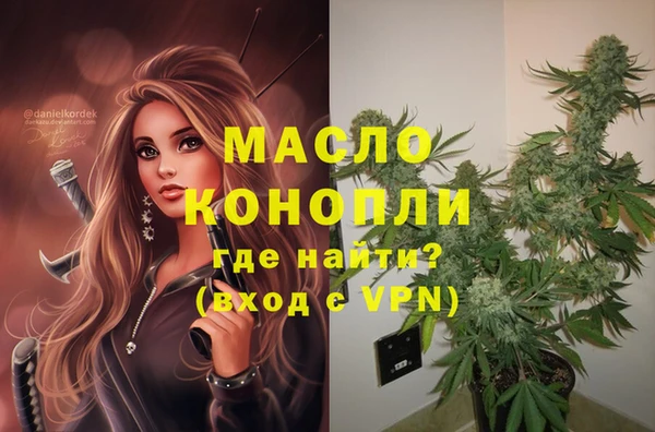 не бодяженный Новодвинск